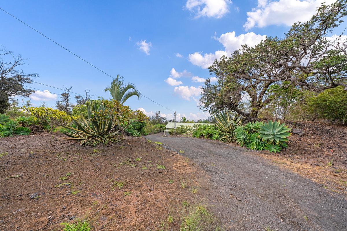 92-8583 Paradise Parkway Ocean View, HI 96704 - Photo 19 of 28 a view of a dry yard with plants and a large tree