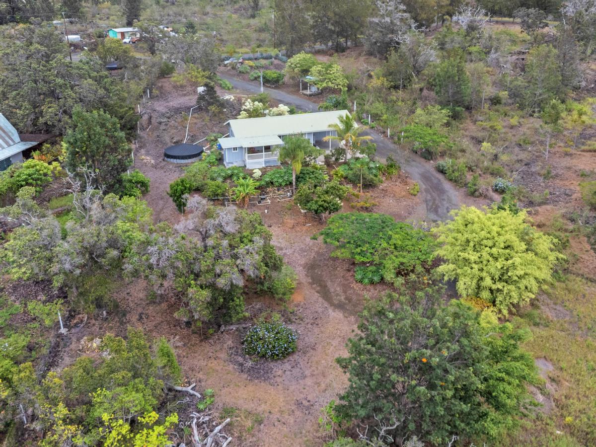 92-8583 Paradise Parkway Ocean View, HI 96704 - Photo 24 of 28 a view of a yard with plants and large trees