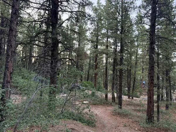 $55,000 | 137 North Kolob Pines Drive, Unit 36, Springdale, UT 84767