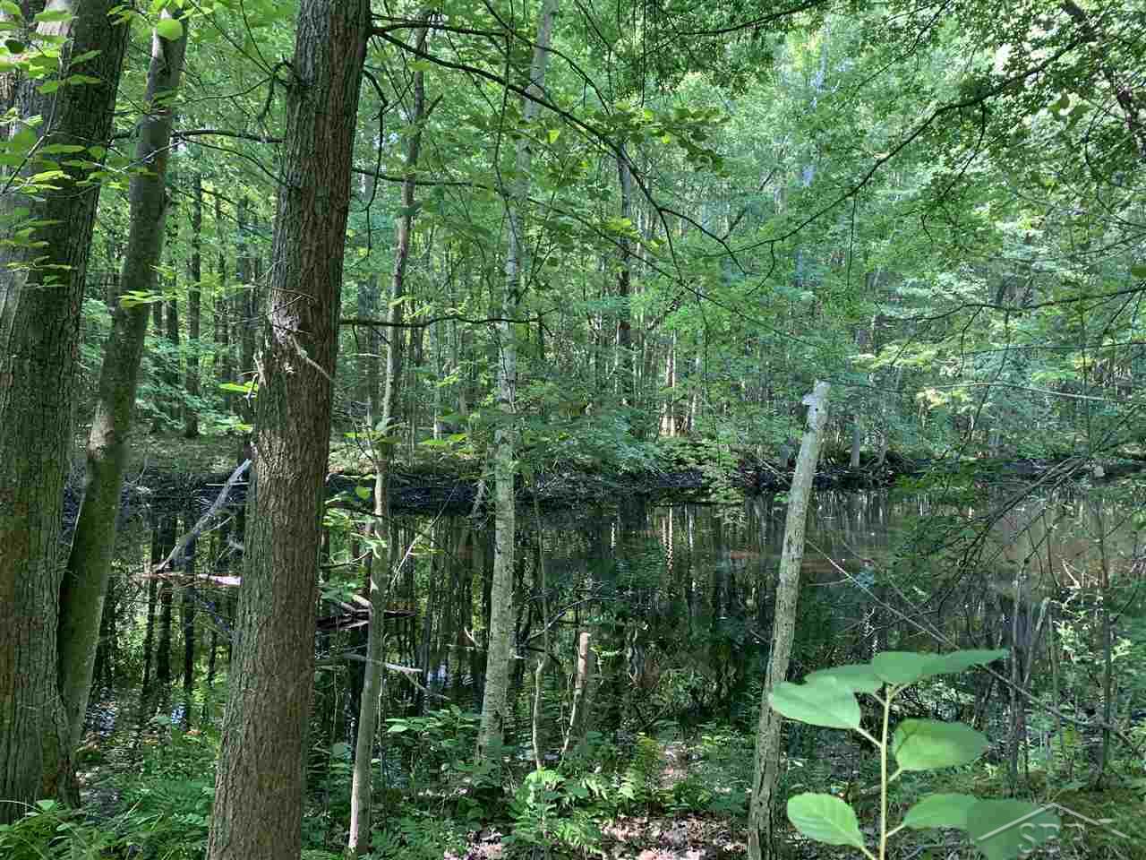 0 Bell Road Birch Run, MI 48415 - Photo 8 of 11