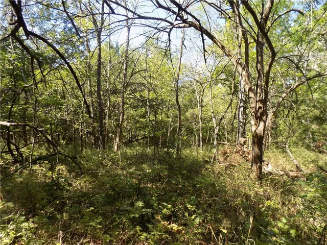 $476,000 | 2000 East E Road, Lacygne, KS 66040