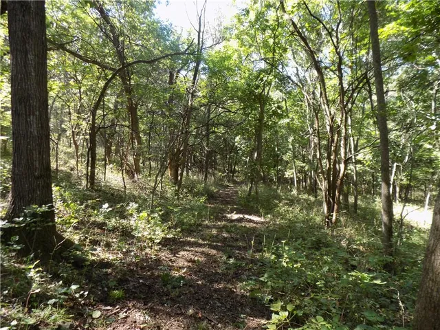 $476,000 | 2000 East E Road, Lacygne, KS 66040