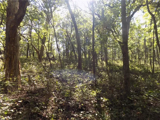 $476,000 | 2000 East E Road, Lacygne, KS 66040