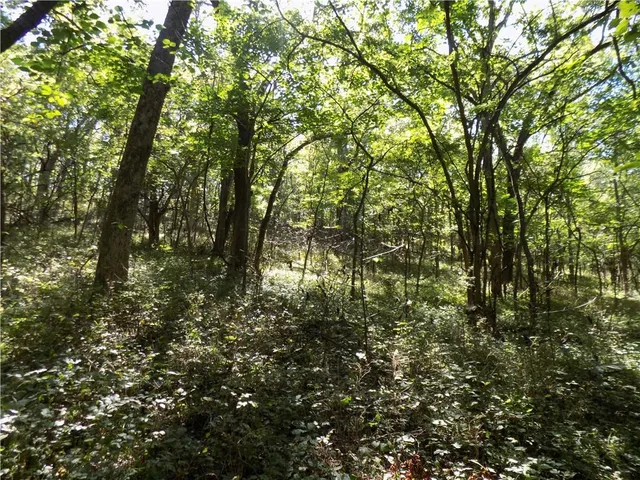 $476,000 | 2000 East E Road, Lacygne, KS 66040