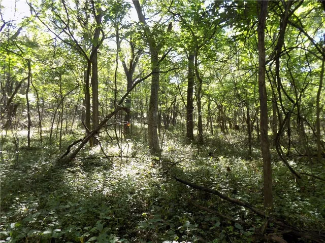 $476,000 | 2000 East E Road, Lacygne, KS 66040