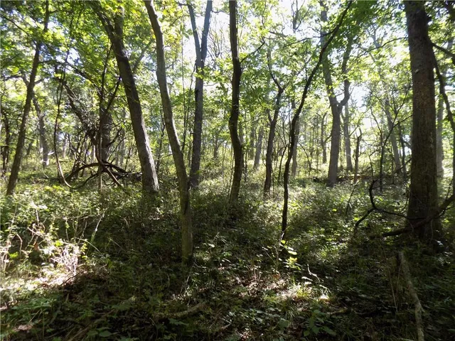 $476,000 | 2000 East E Road, Lacygne, KS 66040