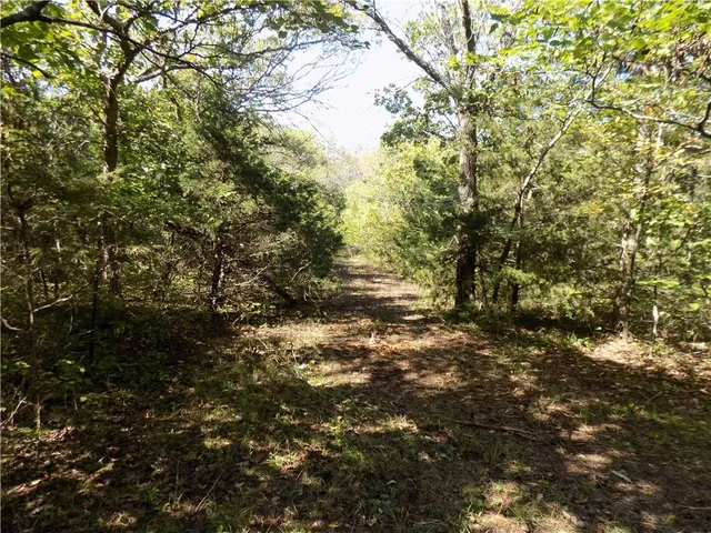 $476,000 | 2000 East E Road, Lacygne, KS 66040