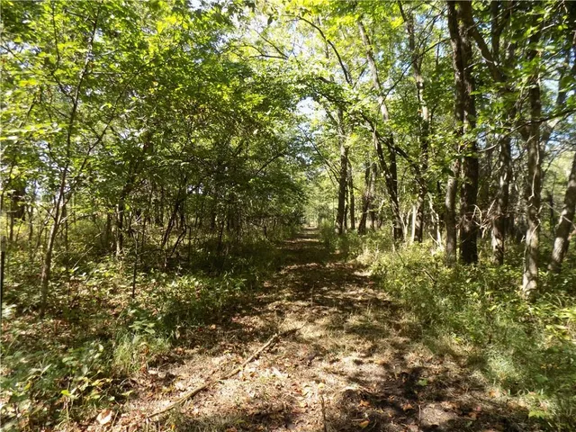 $476,000 | 2000 East E Road, Lacygne, KS 66040