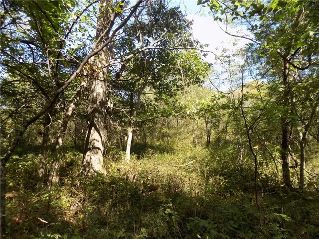 $476,000 | 2000 East E Road, Lacygne, KS 66040