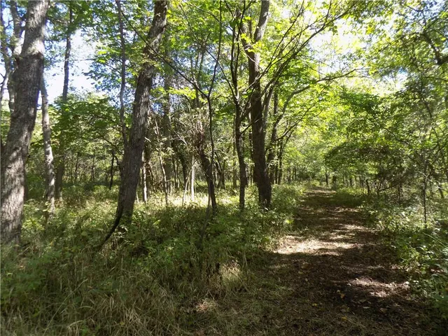 $476,000 | 2000 East E Road, Lacygne, KS 66040