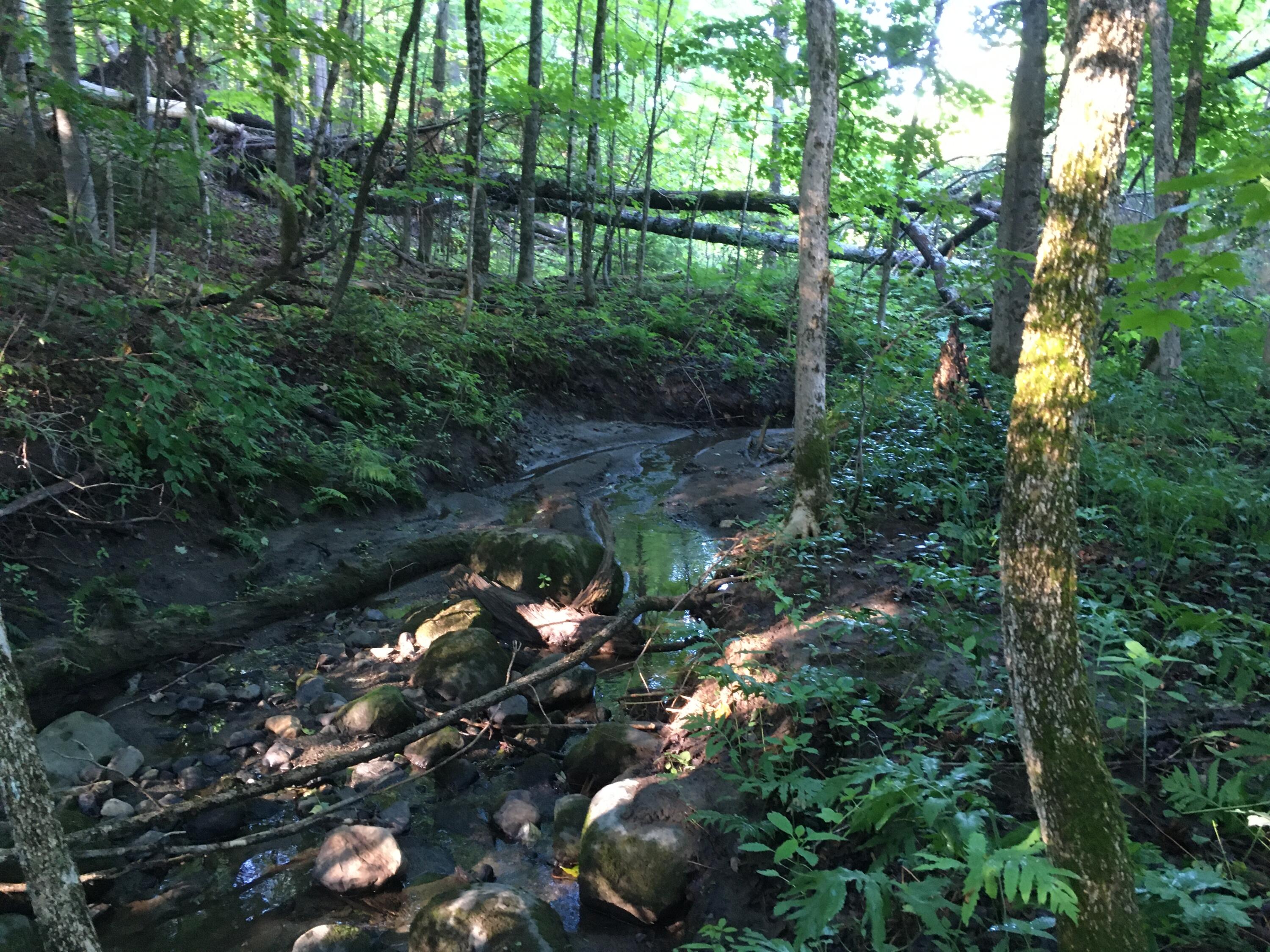 39 Main Street Harmony, ME 04942 - Photo 7 of 26 IMG_8488