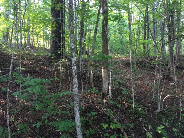 $299,000 | 39 Main Street, Harmony, ME 04942