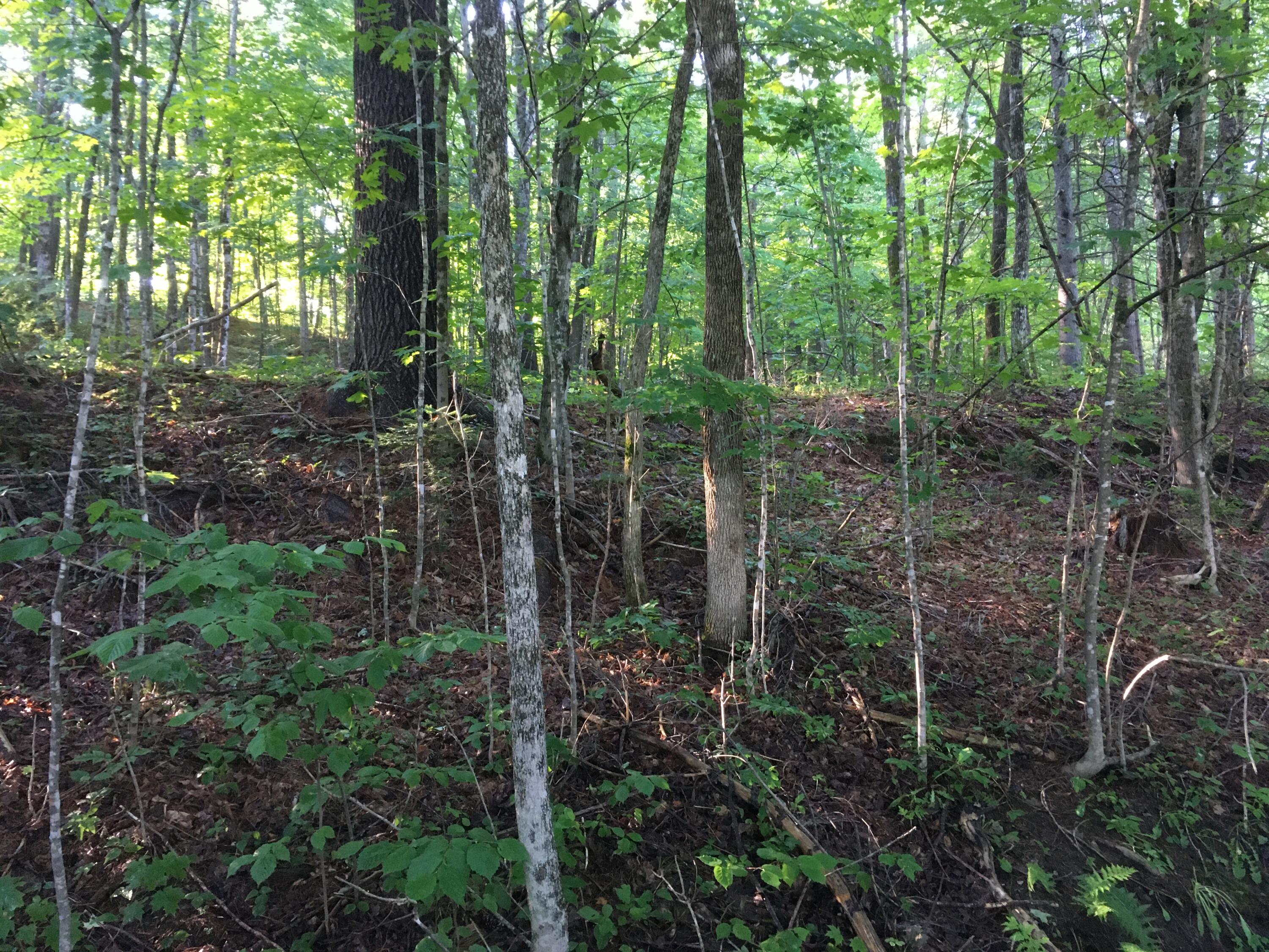 39 Main Street Harmony, ME 04942 - Photo 8 of 26 IMG_8489