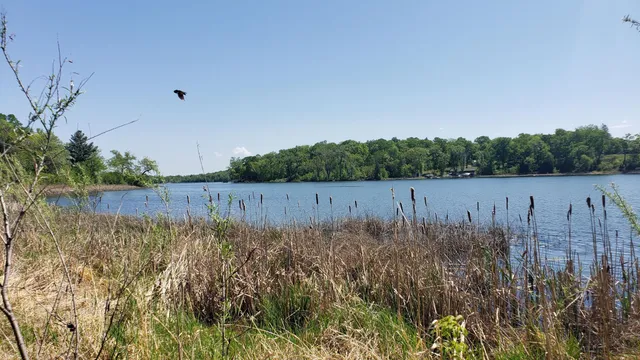 $325,000 | 34343 Twin Island Drive, Dent, MN 56528