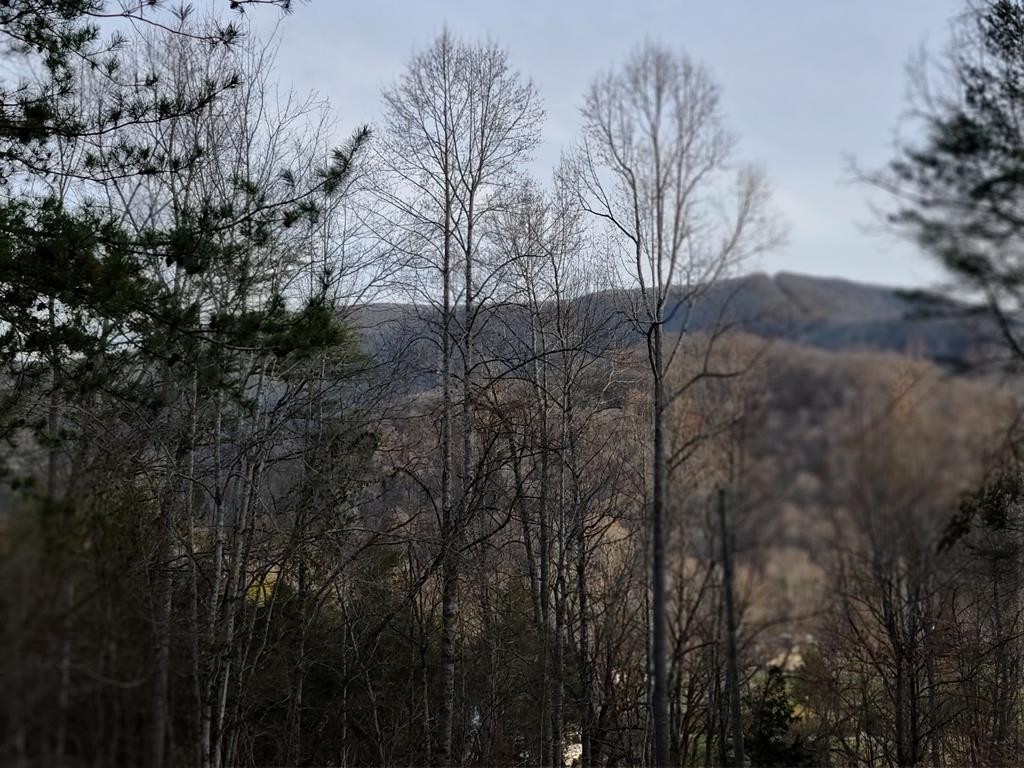 25 Spring View Drive Sevierville, TN 37862 - Photo 1 of 3