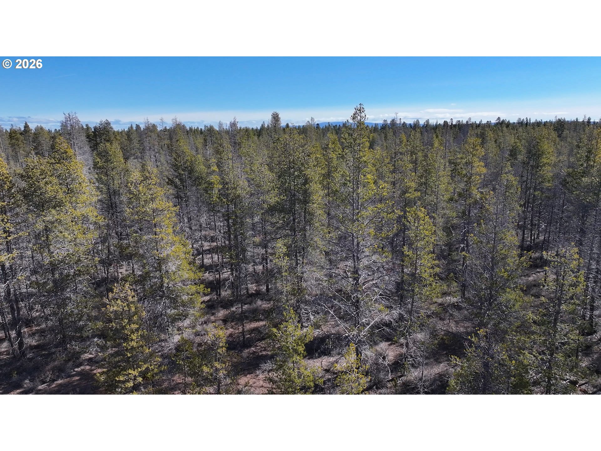 Scott View Drive, Unit 11 Chiloquin, OR 97624 - Photo 2 of 37