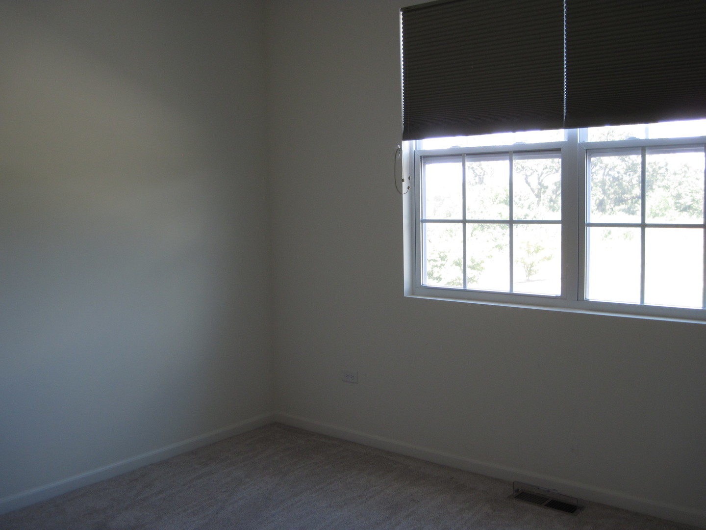 281 Timber Ridge Court, Unit 281 Joliet, IL 60431 - Photo 7 of 22
