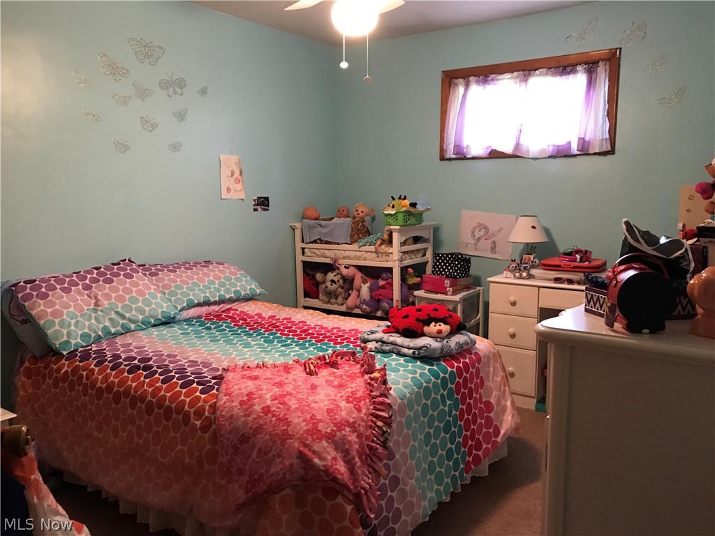 4780 New Road Youngstown, OH 44515 - Photo 11 of 17 Gallery Image 11