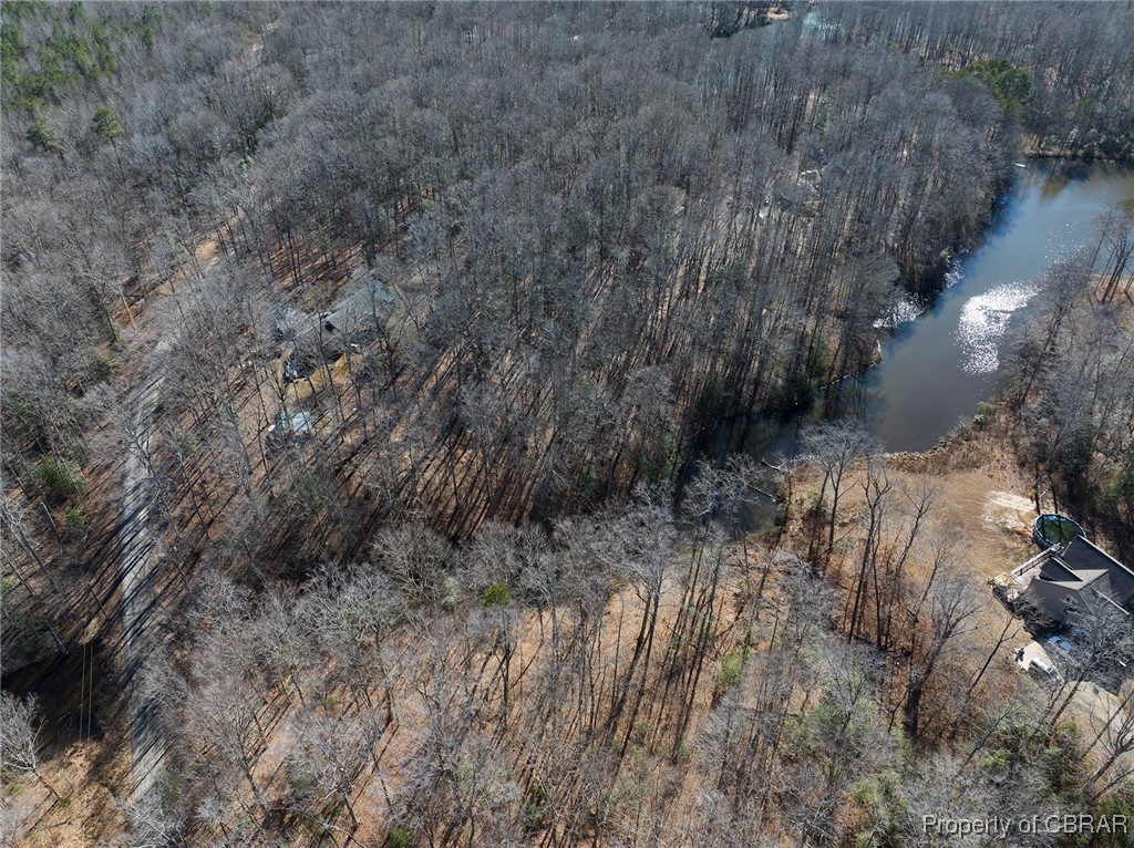 2878 Lees Neck Farm Road Saluda, VA 23149 - Photo 4 of 48
