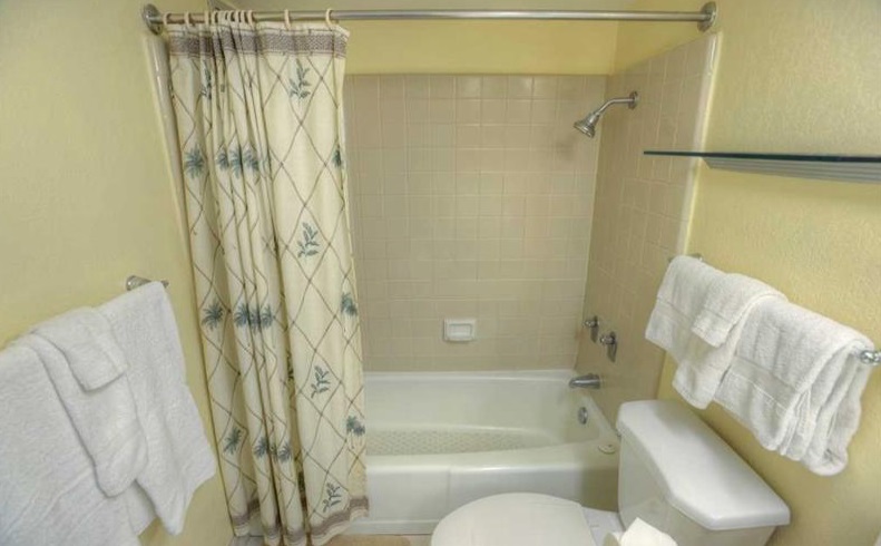 2191 South Kihei Road, Unit 2405 Kihei, HI 96753 - Photo 9 of 17 a bathroom with a bathtub and shower