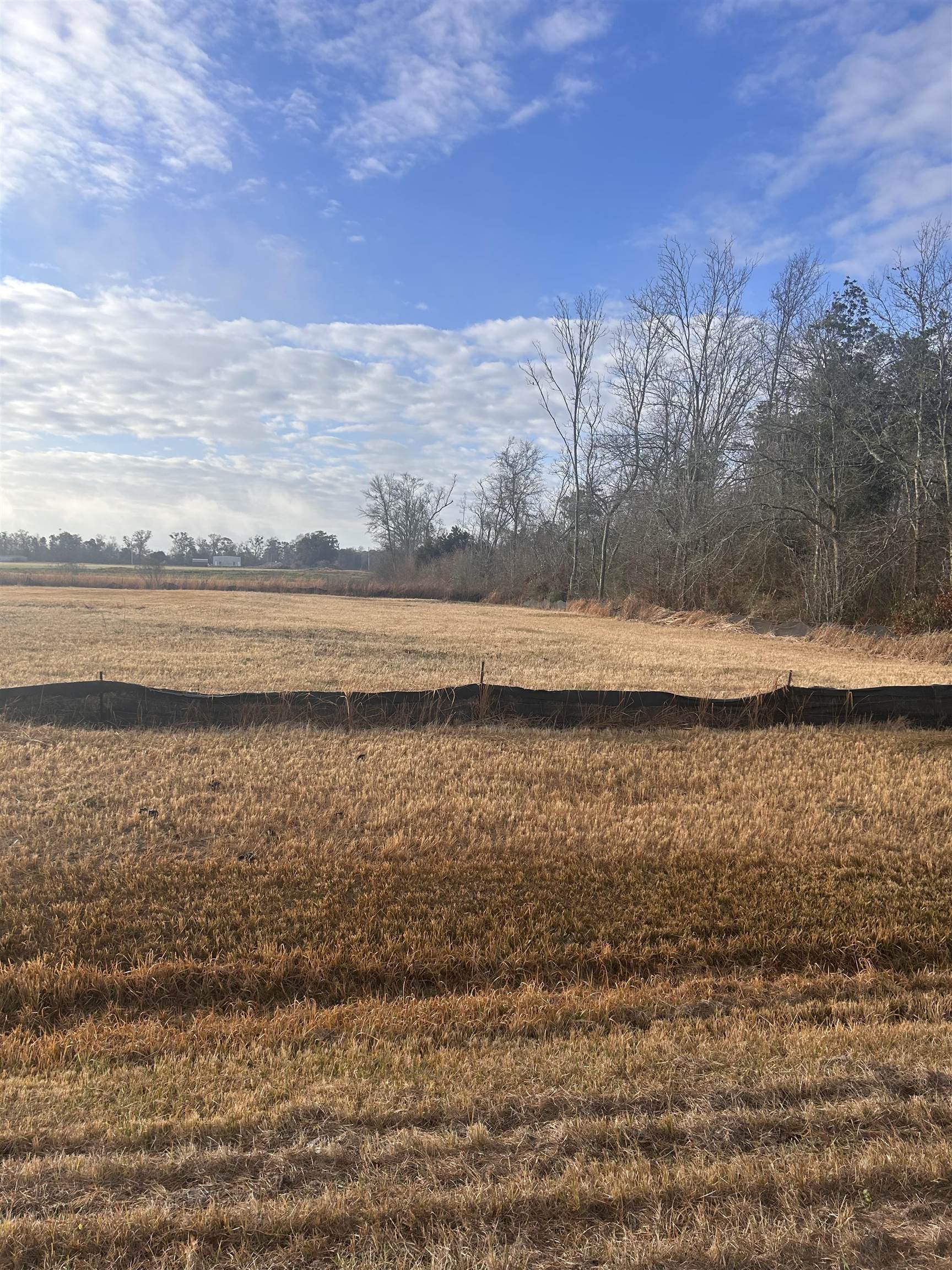 16272 County Road 16 Foley, AL 36535 - Photo 1 of 2 View