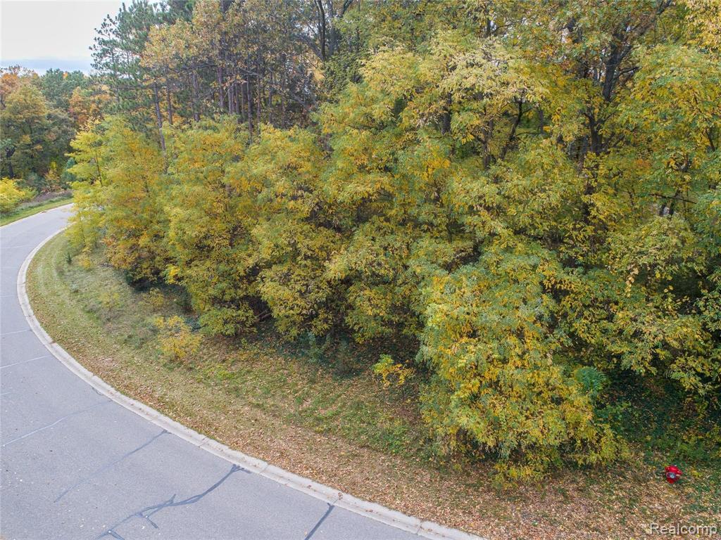 1-8 Stillmeadow Howell, MI 48843 - Photo 4 of 8