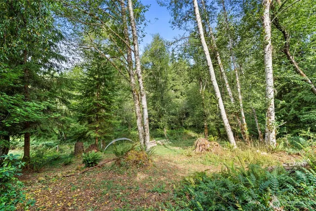 a view of outdoor space and yard