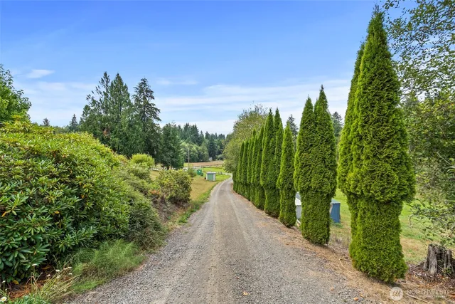 a view of a garden with trees