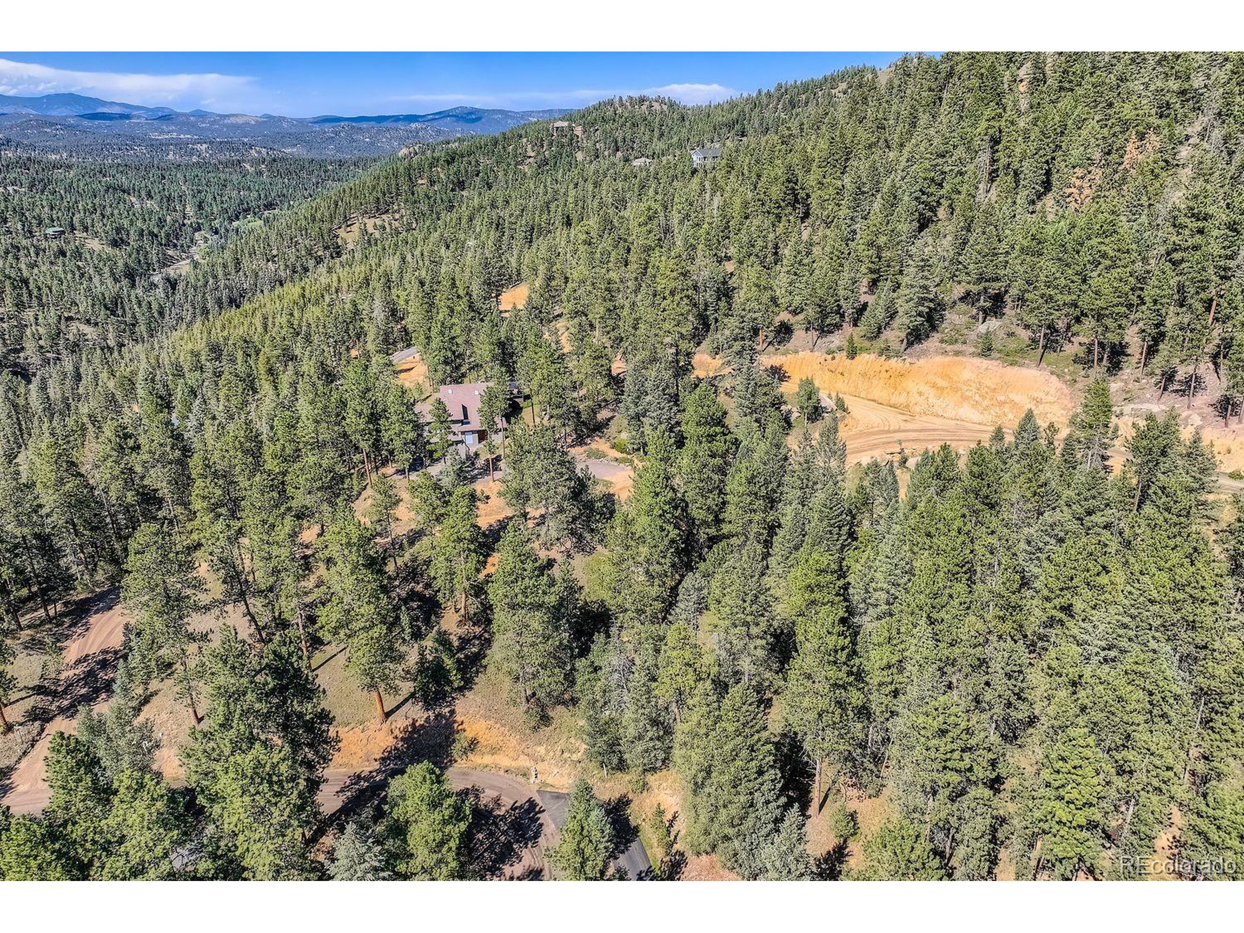 7000 Blue Creek Road Evergreen, CO 80439 - Photo 2 of 11 a view of a forest with a lush green forest