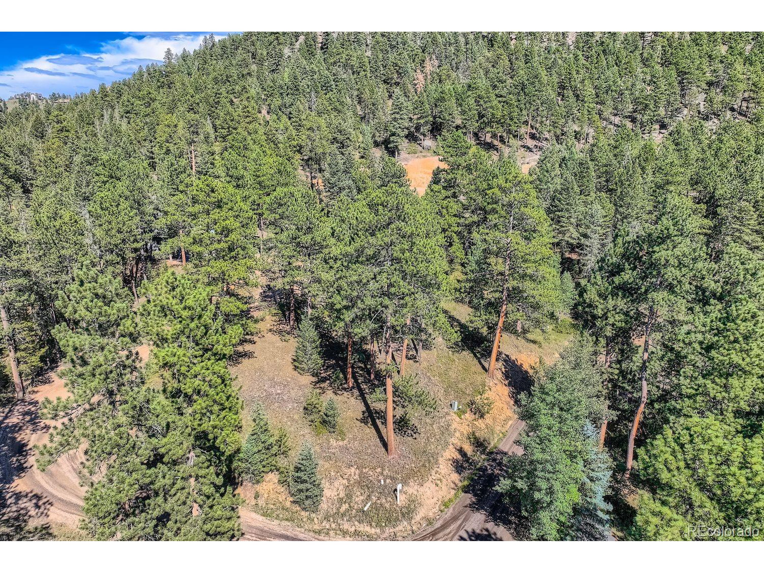 7000 Blue Creek Road Evergreen, CO 80439 - Photo 3 of 11 a view of a forest with a lake