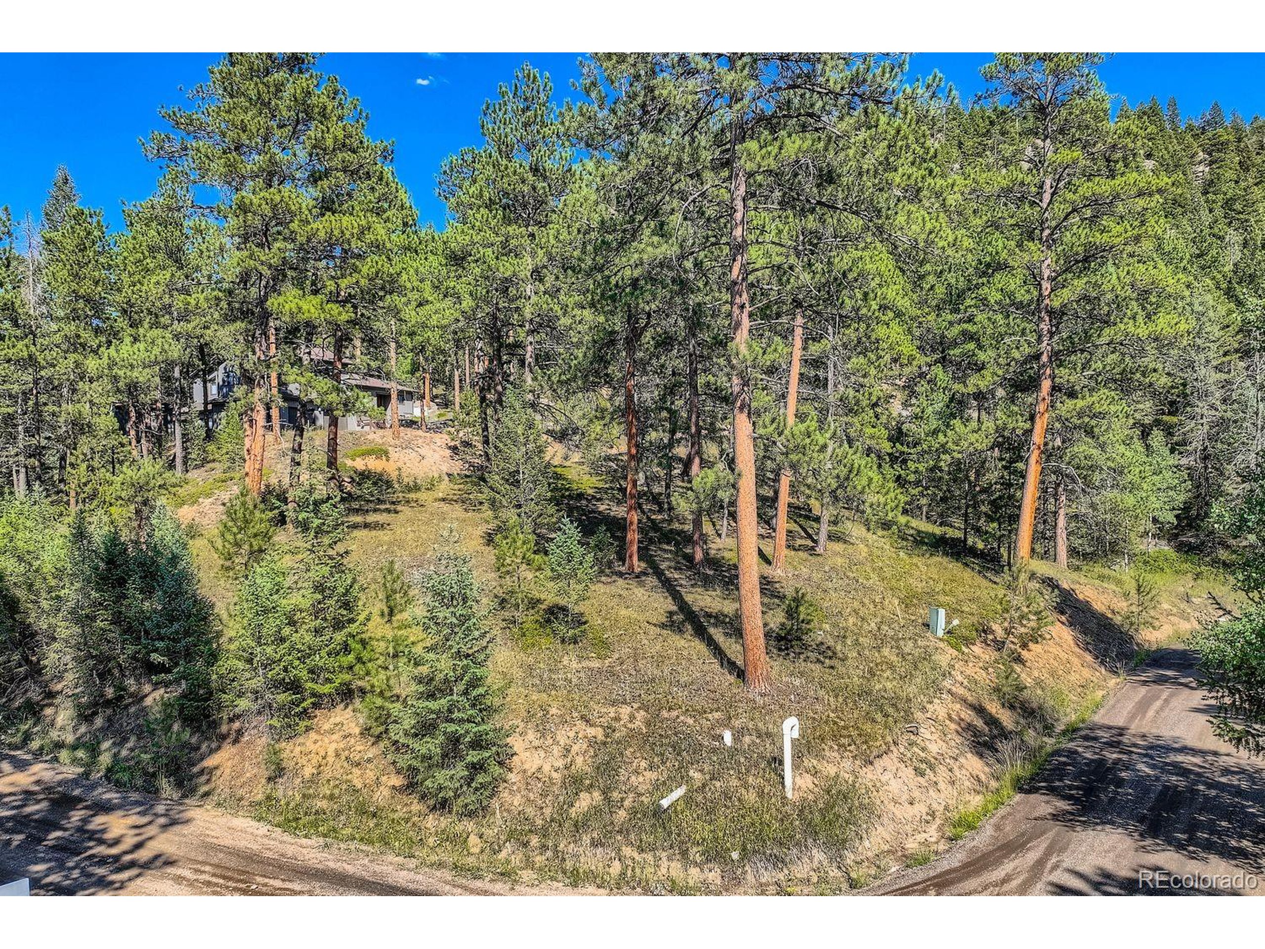 7000 Blue Creek Road Evergreen, CO 80439 - Photo 4 of 11 a view of a yard with wooden fence