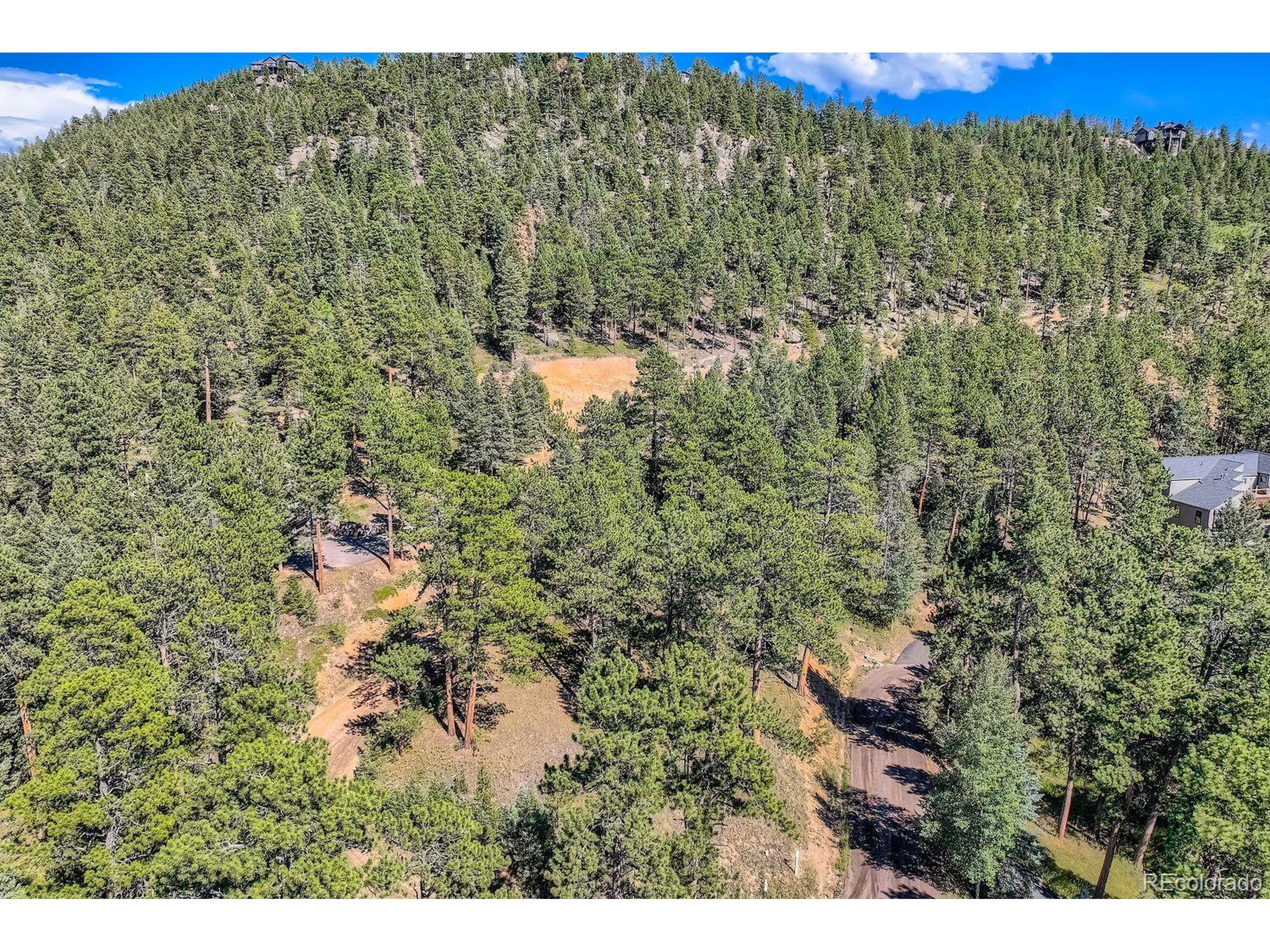 7000 Blue Creek Road Evergreen, CO 80439 - Photo 6 of 11 a view of a green field with lots of bushes