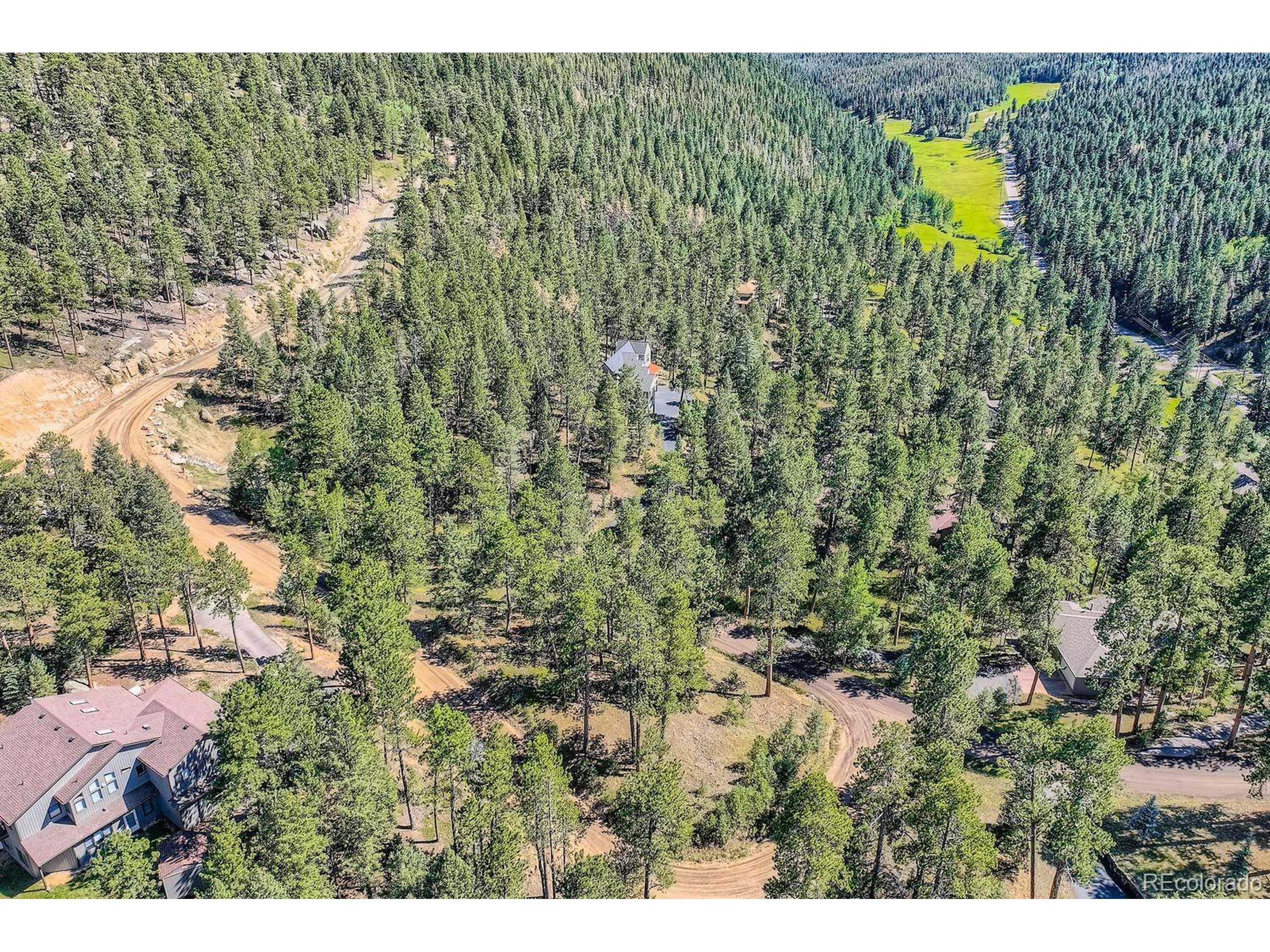 7000 Blue Creek Road Evergreen, CO 80439 - Photo 7 of 11 a view of a forest with a tree
