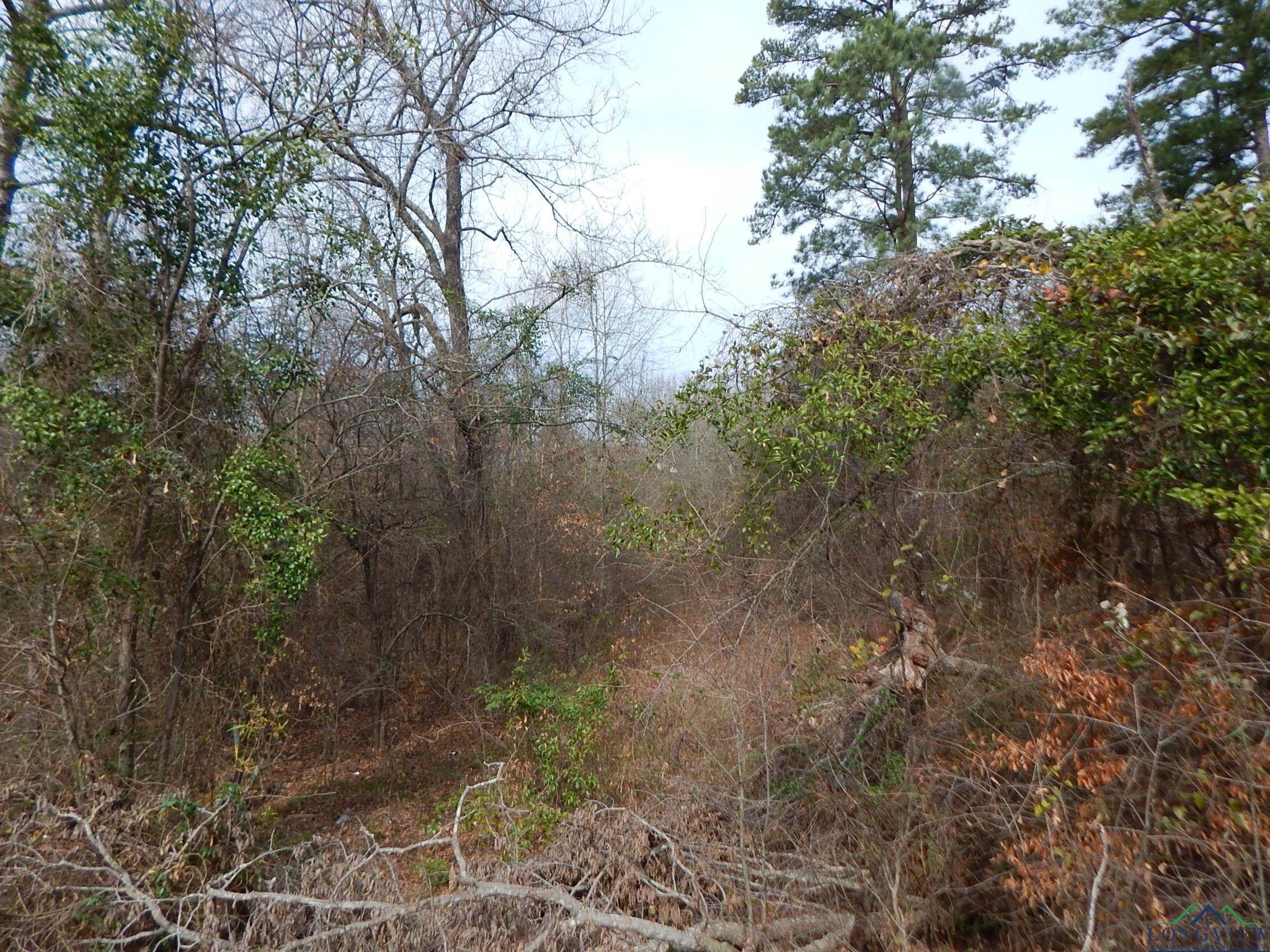 11.72 Acres George Richey Road White Oak, TX 75693 - Photo 12 of 17 Gallery Image 12