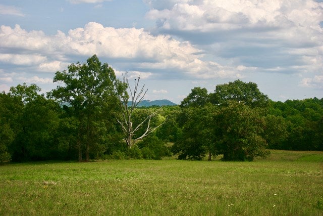 640 Andersonville Road Appomattox, VA 24522 - Photo 1 of 1 Gallery Image 1
