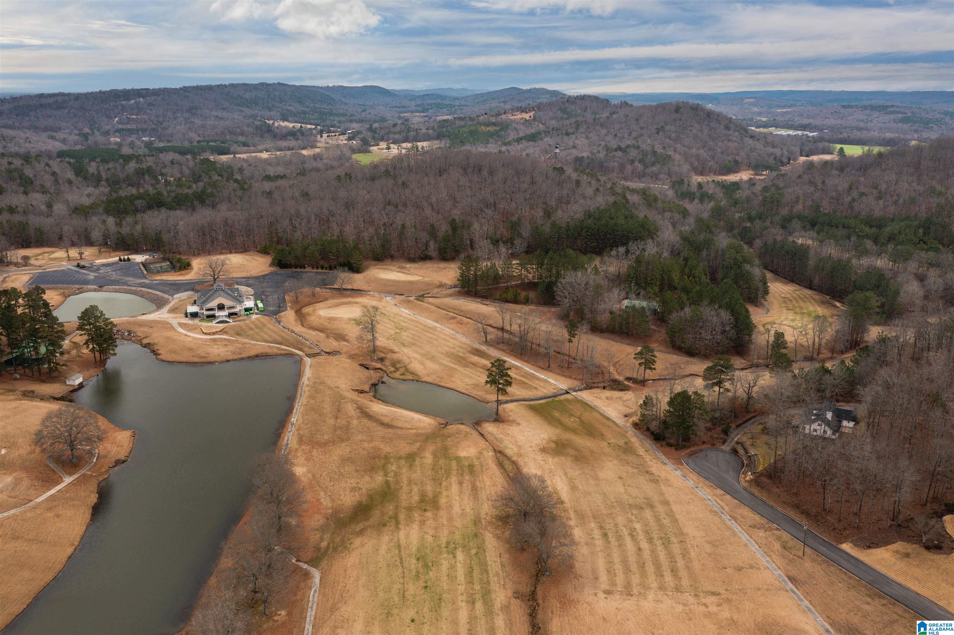 1 Heritage Road Oneonta, AL 35121 - Photo 70 of 74