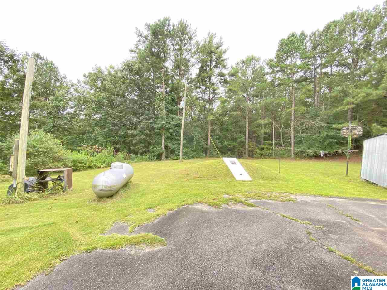 4169 Cook Springs Road Pell City, AL 35125 - Photo 9 of 35