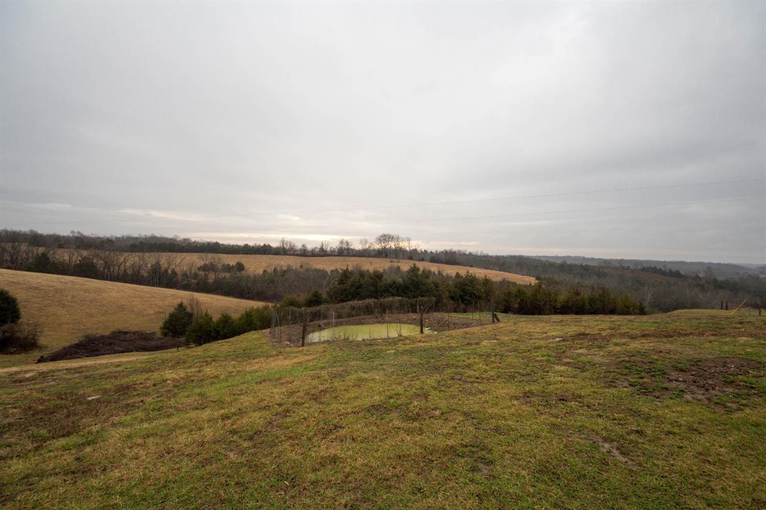 2117 Grapevine Road Harrodsburg, KY 40330 - Photo 29 of 34 Photo 29