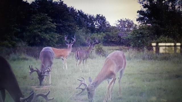 0 Turpin Lake Road Poolville, TX 76487 - Photo 2 of 16