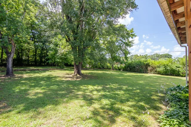 a backyard of a house with plants and large tree