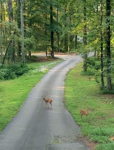 7350 Banks Mill Road Douglasville, GA 30135 - Photo 24 of 27 a view of a street with a yard