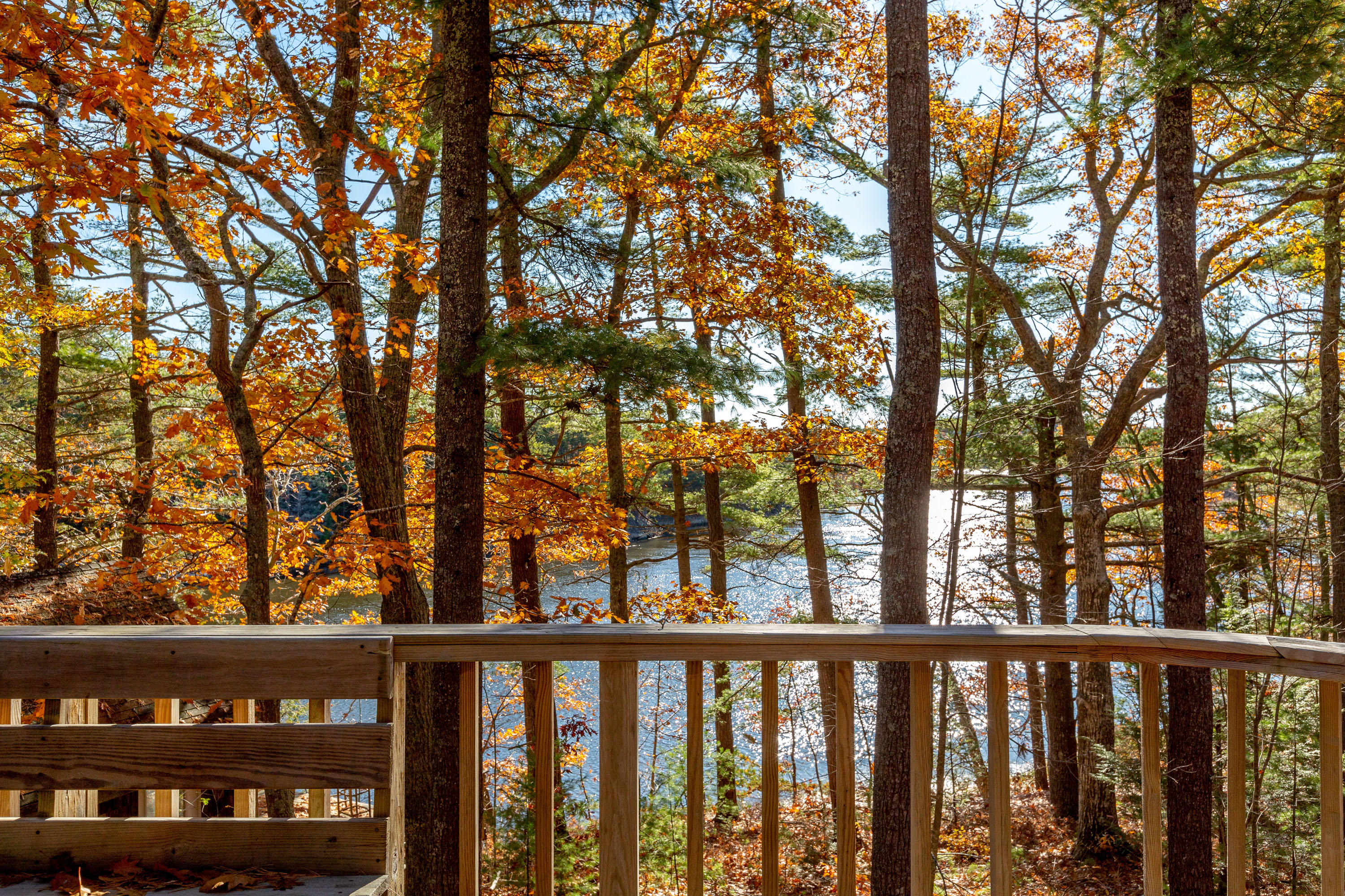 67 Indian Rest Road Bath, ME 04530 - Photo 15 of 66 Indian Rest_Ollier_13