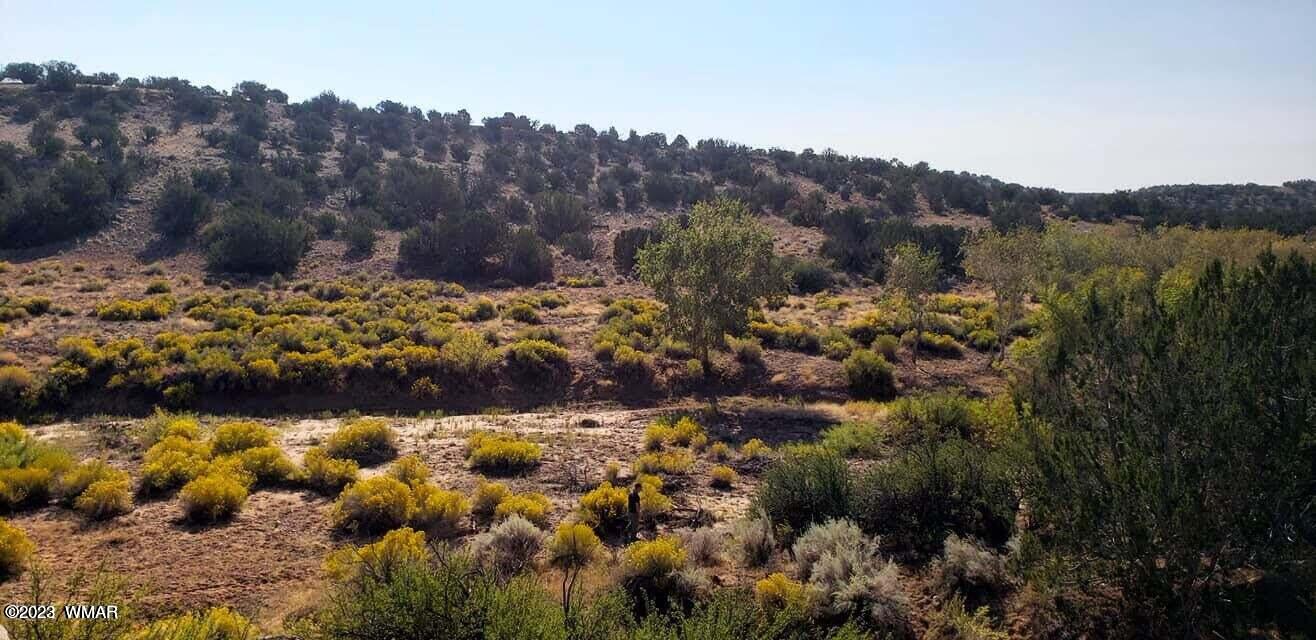 1879 Twin Tanks Road Heber, AZ 85928 - Photo 2 of 6 Gallery Image 2