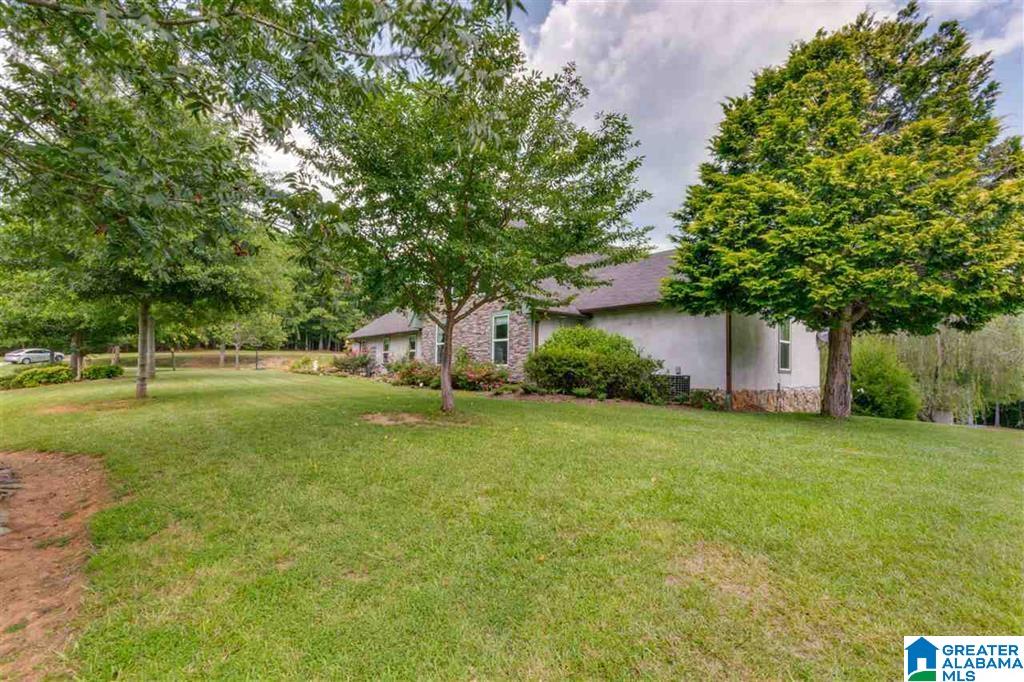 4576 County Road 48 Jemison, AL 35085 - Photo 2 of 47