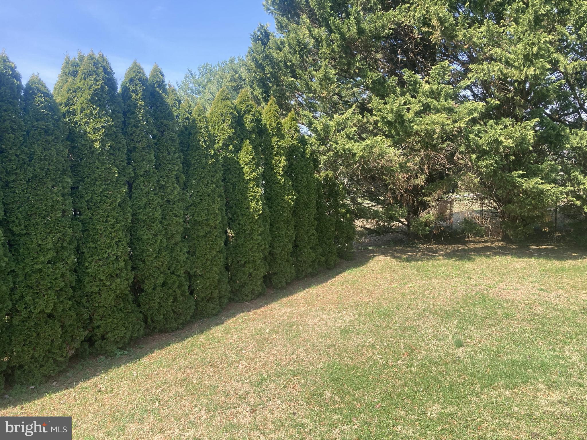 3624 Kemptown Church Road Monrovia, MD 21770 - Photo 12 of 80 Evergreen trees provide total privacy