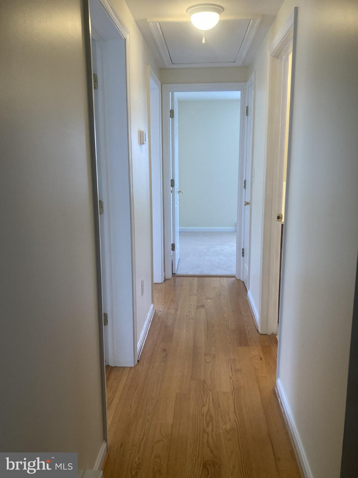 3624 Kemptown Church Road Monrovia, MD 21770 - Photo 39 of 80 Hallway leading to bedroom and full bath