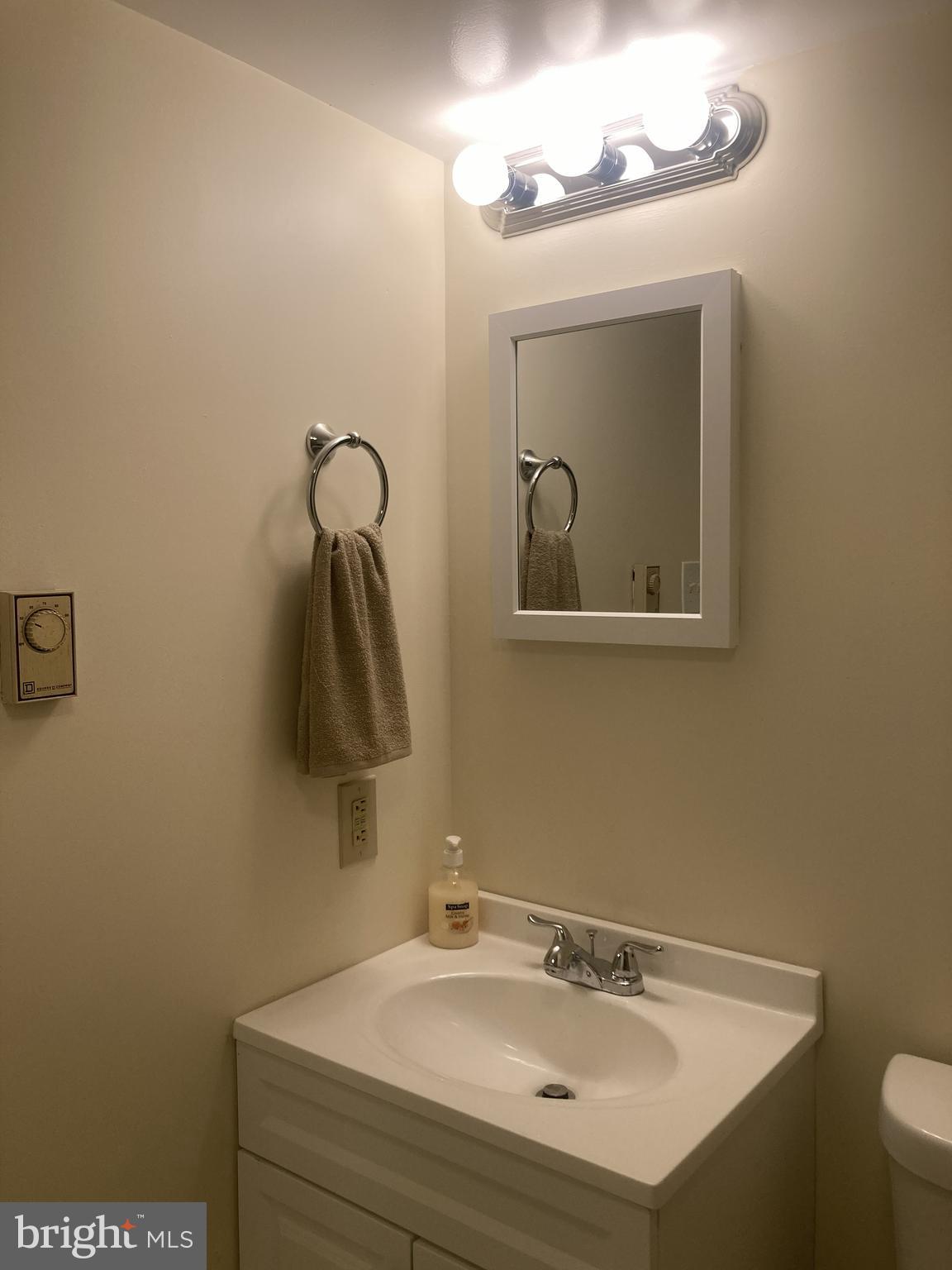 3624 Kemptown Church Road Monrovia, MD 21770 - Photo 67 of 80 Lower level full bath