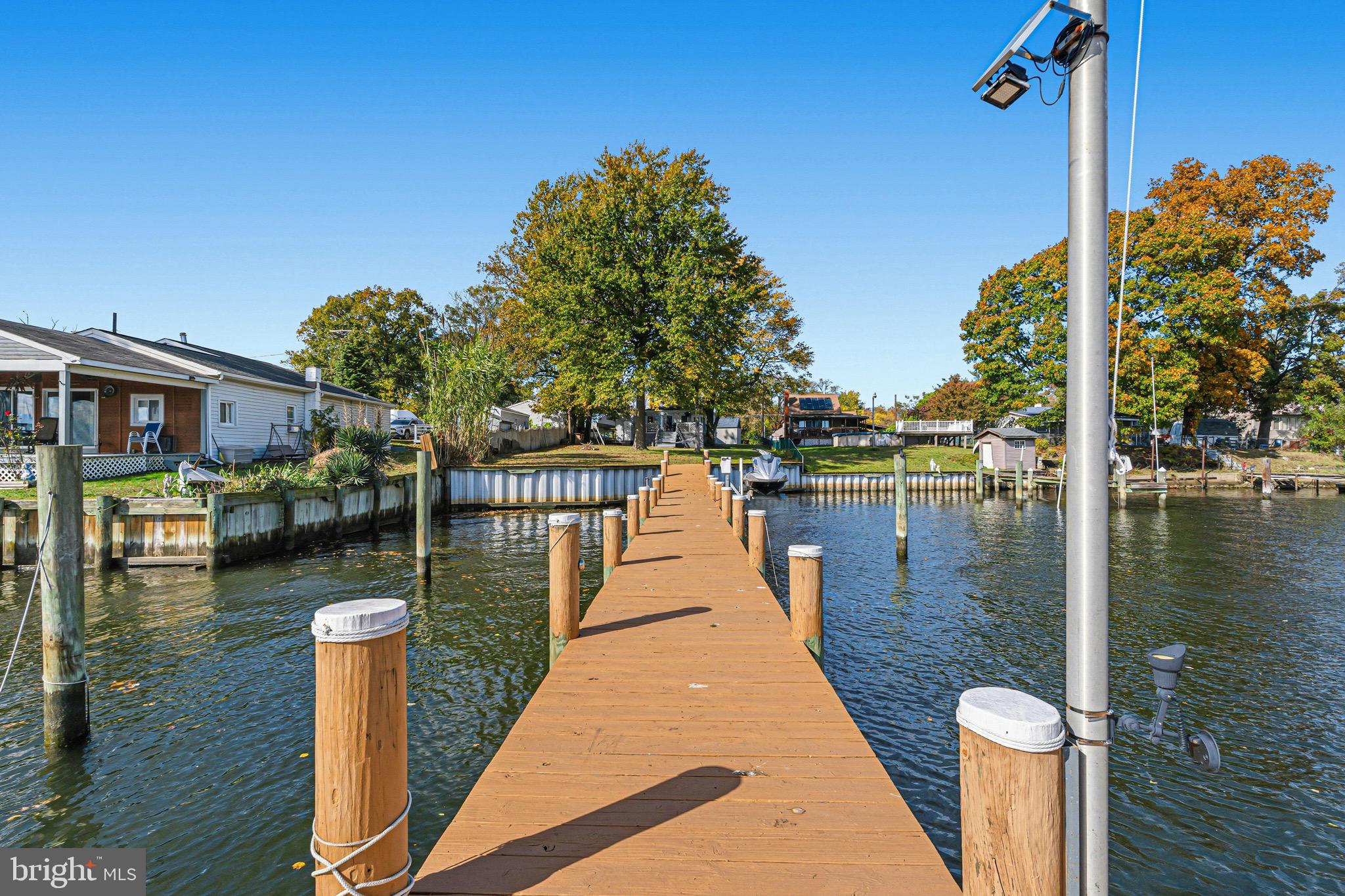 a lake view with a large trees in the background