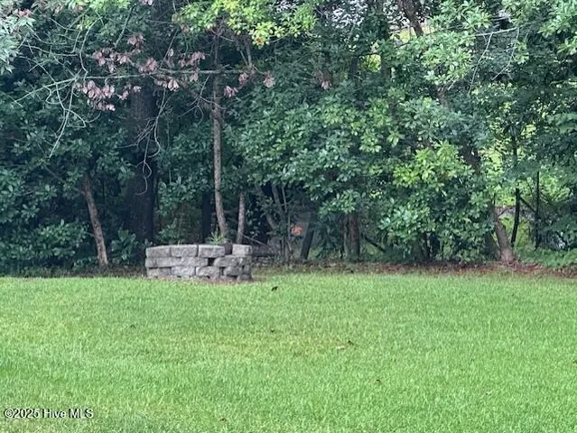 $150,000 | 407 Woodlawn Drive, Williamston, NC 27892