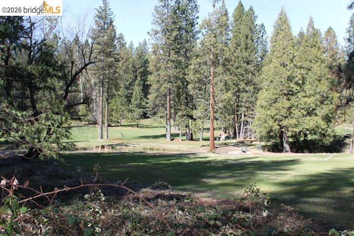 22860 Fuller Road Twain Harte, CA 95383 - Photo 37 of 44